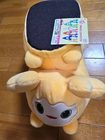 TWICE 지효 슬리퍼