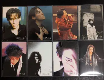 가와무라 류이치, RYUICHI 트레이딩 카드 12장