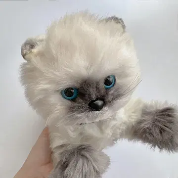 빈티지 샤무아 고양이 히말라야 랙돌 봉제 인형 고양이