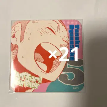 하이큐 아트 코스터 타나카 류노스케 21장