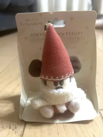 도쿄 디즈니 리조트 크리스마스 릴린린 패친 2025