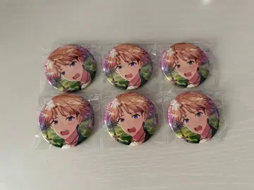 나루카미 아라시 캔뱃지 Feb