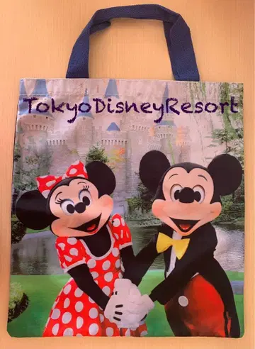 디즈니 30주년 토트백