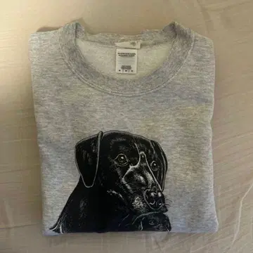 never young beach 네바얀 맨투맨 굿즈 초기