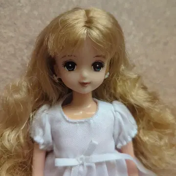 리카짱 프렌드 [미호짱] 본체 캐슬제