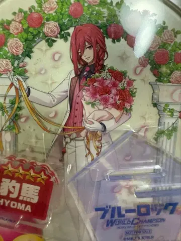 블루 록 치기리 효마 한정판 아크릴 스탠드