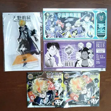 아마노 아키 가정교사 히트맨 REBORN! 프리모 세트 특전 포함