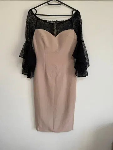 레이스 소매 타이트 드레스