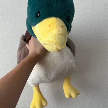초록색과 노란색 오리 봉제 인형