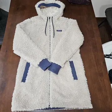 patagonia 더스티 메사 후드티