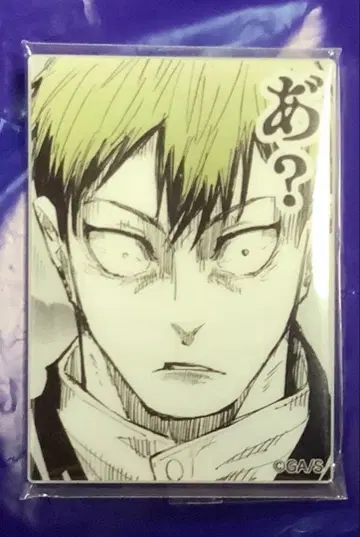 주술회전 젠인 나오야 논외의 남자 아크릴 마그넷 컬렉션