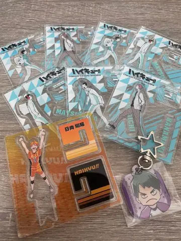 하이큐!! 아크릴 스탠드 세트 아오바죠사이 히나타 쇼요 우시지마 와카토시