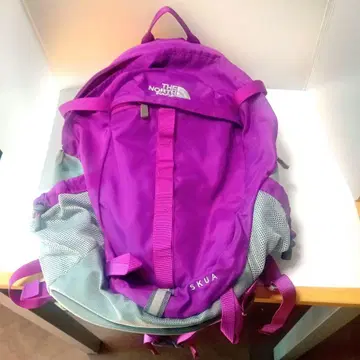 THE NORTH FACE 릭 SKUA