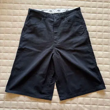 Dickies x FUTURE ARCHIVE / BAGGY SHORTS