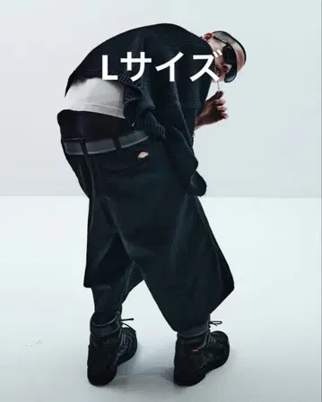 Dickies x FUTURE ARCHIVE / BAGGY SHORTS