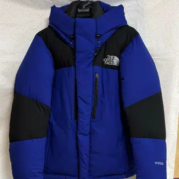 THE NORTH FACE 라피스 블루 다운 자켓
