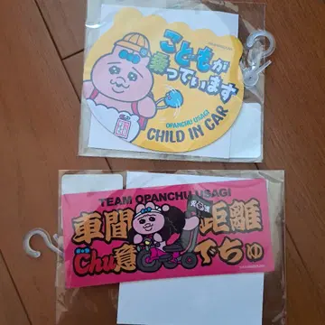 빤쮸토끼 카 마그넷