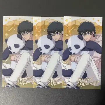 신 테니스의 왕자님 돈키호테 돈키 클리어 카드 키리하라 아카야 3장 세트