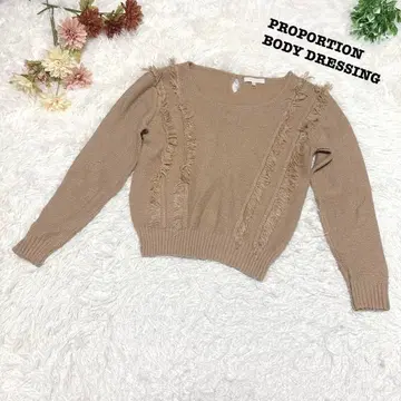 s.1663 [ 프로포션 바디 드레싱 ] 긴팔 니트 라메 프린지