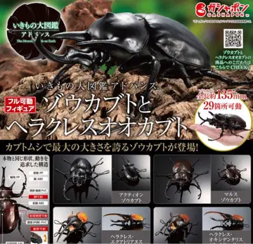 생물대도감 어드밴스 코끼리장수풍뎅이와 헤라클레스 장수풍뎅이 전 4종