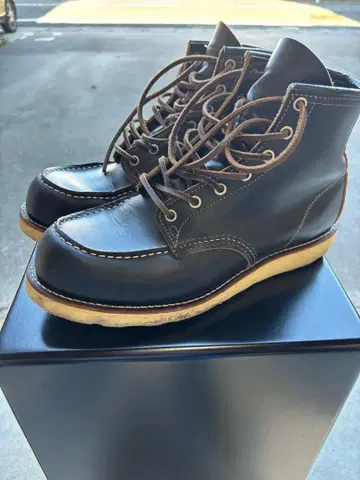 REDWING 9874 아이리쉬 세터