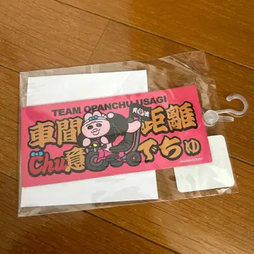 빤쮸토끼 카 마그넷 돈키호테 자동차 간 거리