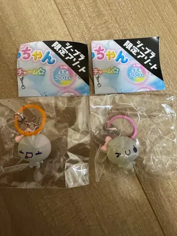 아와와짱 메지루시 액세서리 시플라 한정판 아와코짱