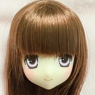 [헤드만] 사아라 AZONE 아존 퓨어니모 인형 1/6