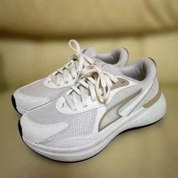 메구로 렌 모델 PUMA 신발