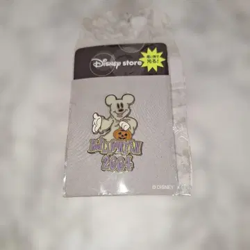 레어 디즈니 핀 배지 디즈니 스토어 2004