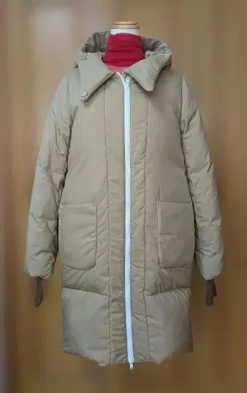 MARECHAL TERRE의 다운