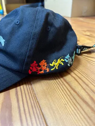 도쿄 디즈니 리조트 캡