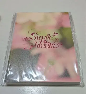 스타포니 팜플렛