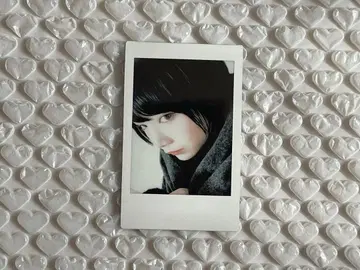 모치코 씨 폴라로이드