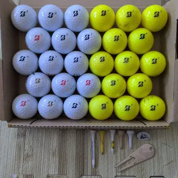 JGR 브릿지스톤 로스트볼 28개 티 5개