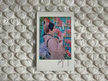 모치코 씨 폴라로이드