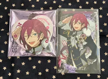 앙스타 스타포니 이바라