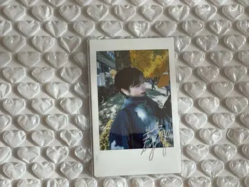 모치코 씨 폴라로이드