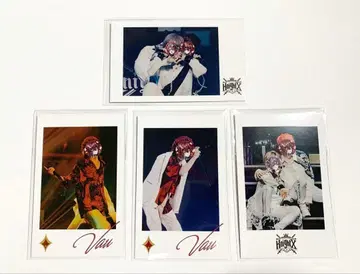 기사X KnightX 바우군 바우 페어 포토 카드 4장