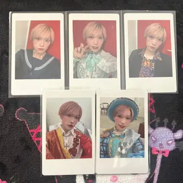 타이가 묶음 판매