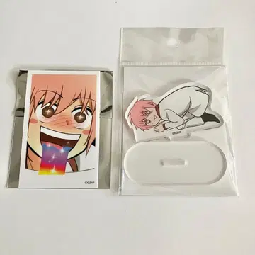 에브리데이 호스트 코이치 아크릴 스탠드 & 카드