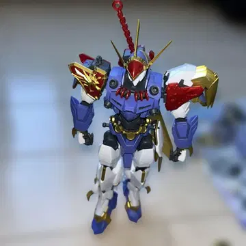 HG Amplified IMGN 용신마루 완성품