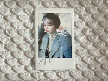 모치코 씨 폴라로이드