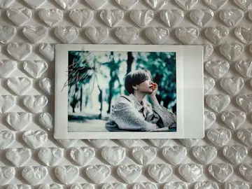 모치코 씨 폴라로이드