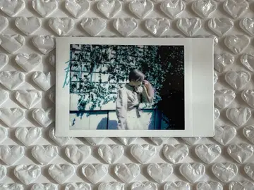 모치코 씨 폴라로이드