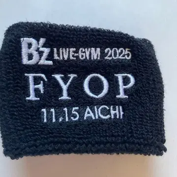 B'z LIVE-GYM 2025 FYOP 리스트 밴드