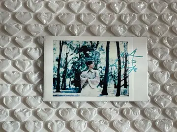 모치코 씨 폴라로이드