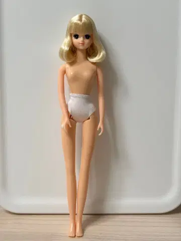 리카짱 캐슬 오타노시미 인형 제니 프렌드 마리