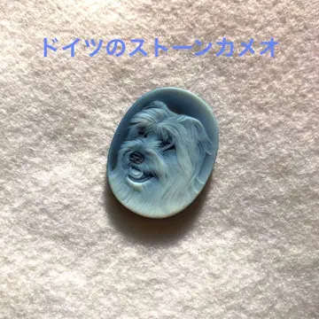 푹신푹신 강아지 카메오