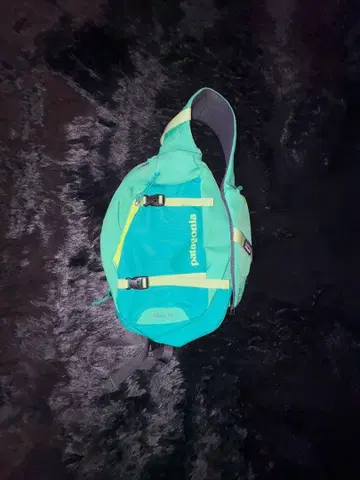 patagonia 바디백 그린